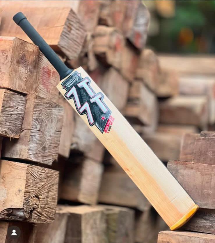 Professional Cricket Ball